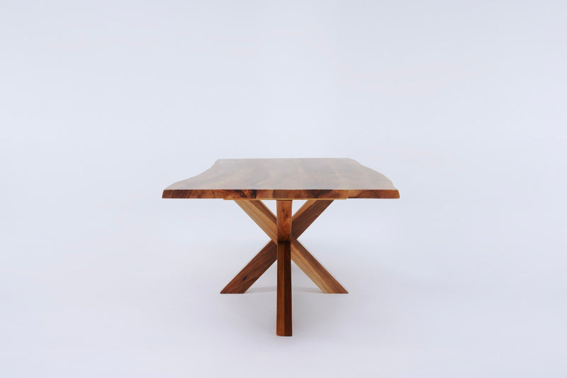 The Walnut Spider